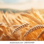 爱电影视在线观看 dx8uw6fvg