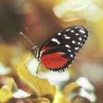 mrds 14,今日大赛,每日大赛免费观看,黑料网每日大赛 mrds 14,今日大赛